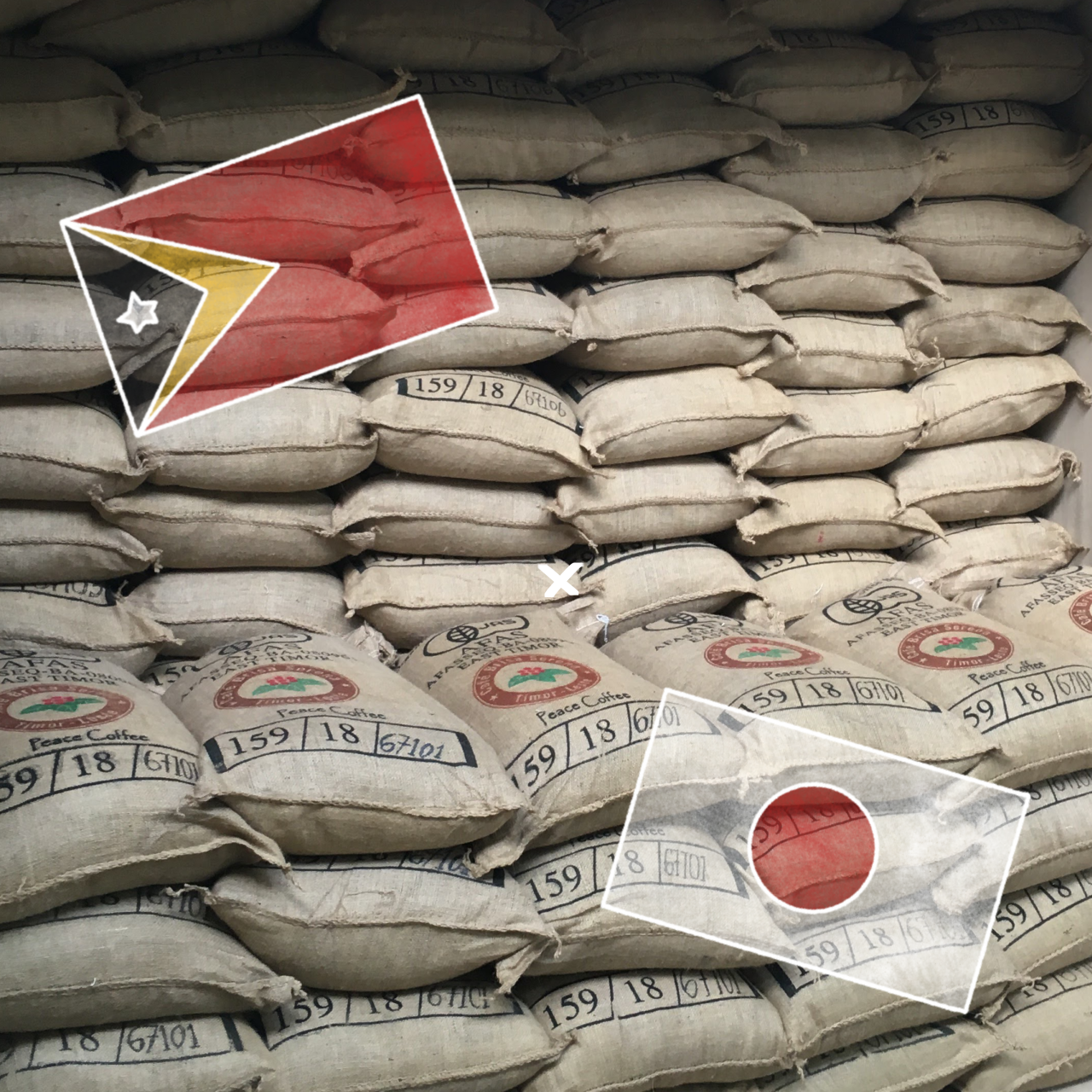 1枚のチョコレートと、1杯のコーヒーが世界を変える🍫☕️